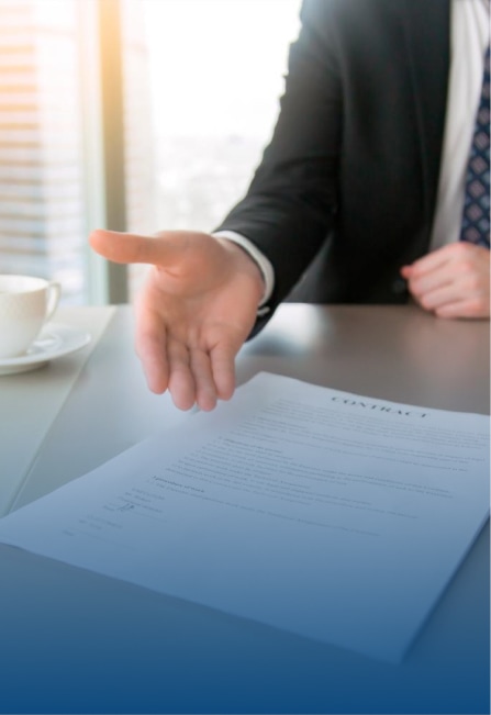 Lawyer presenting document