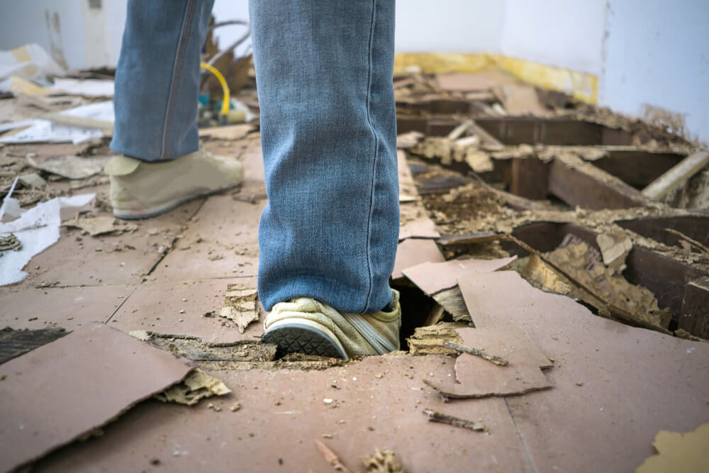 Man stepping on damage area eaten by termites.